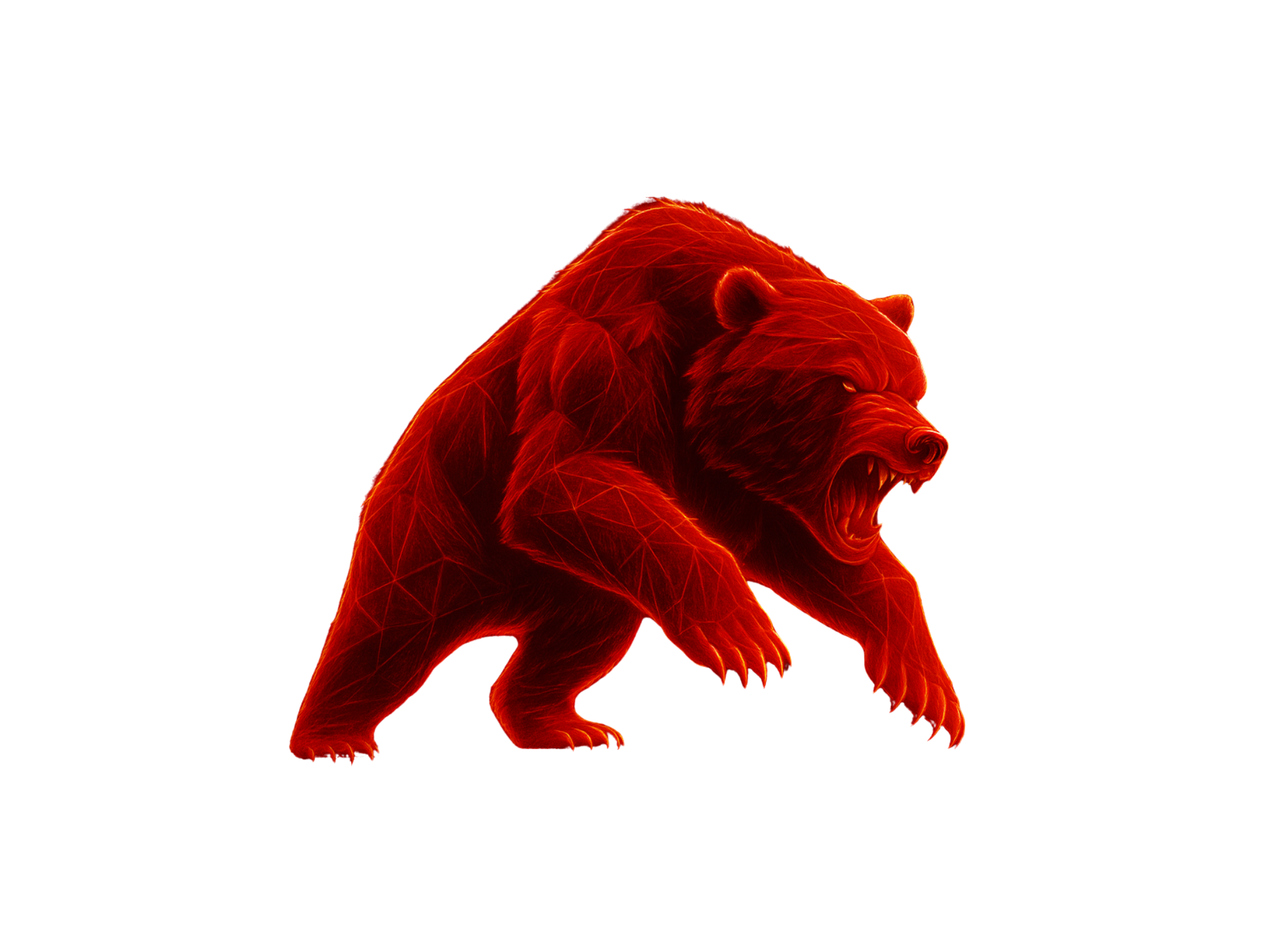 Bear illustration
