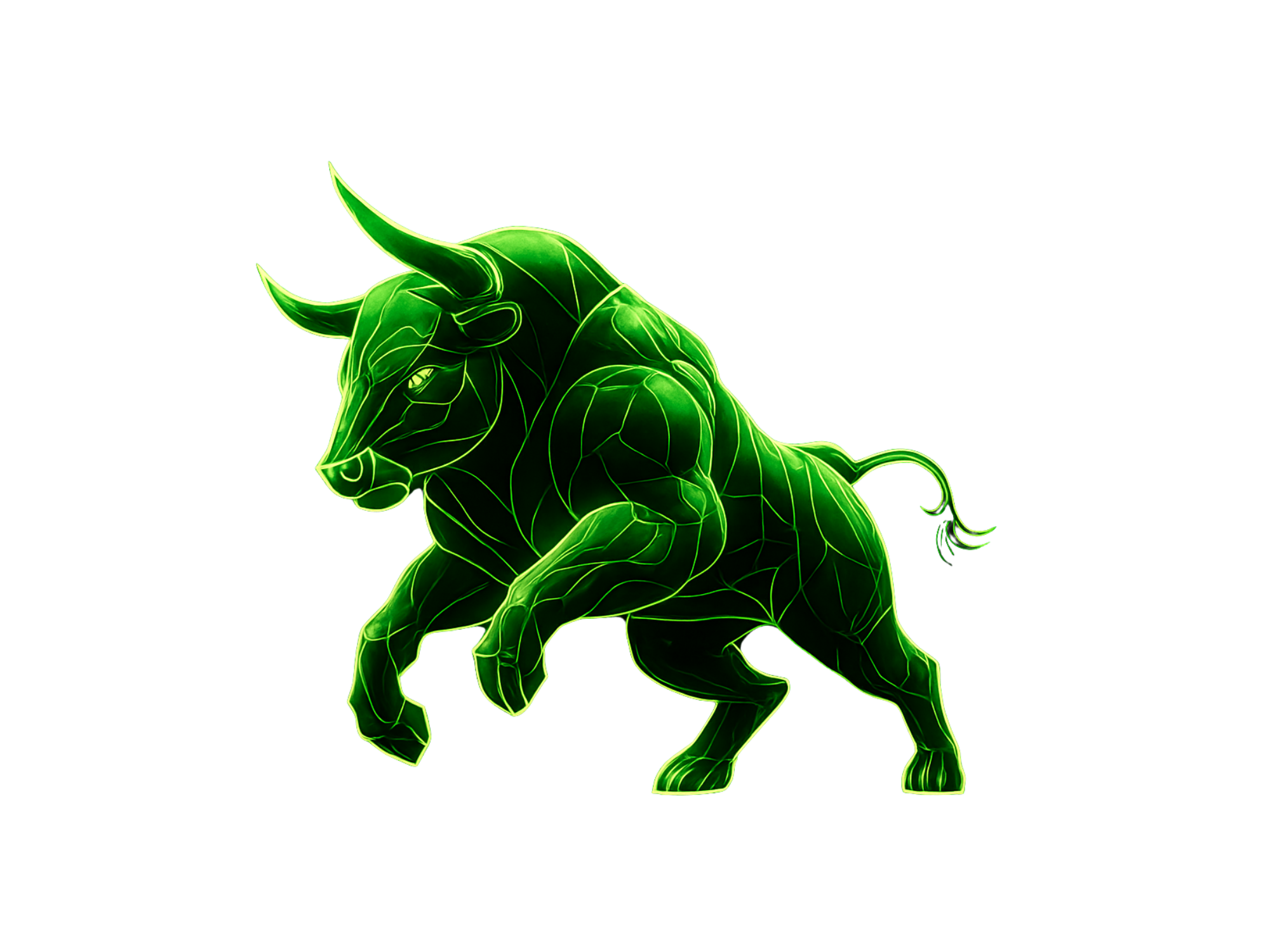 Bull illustration